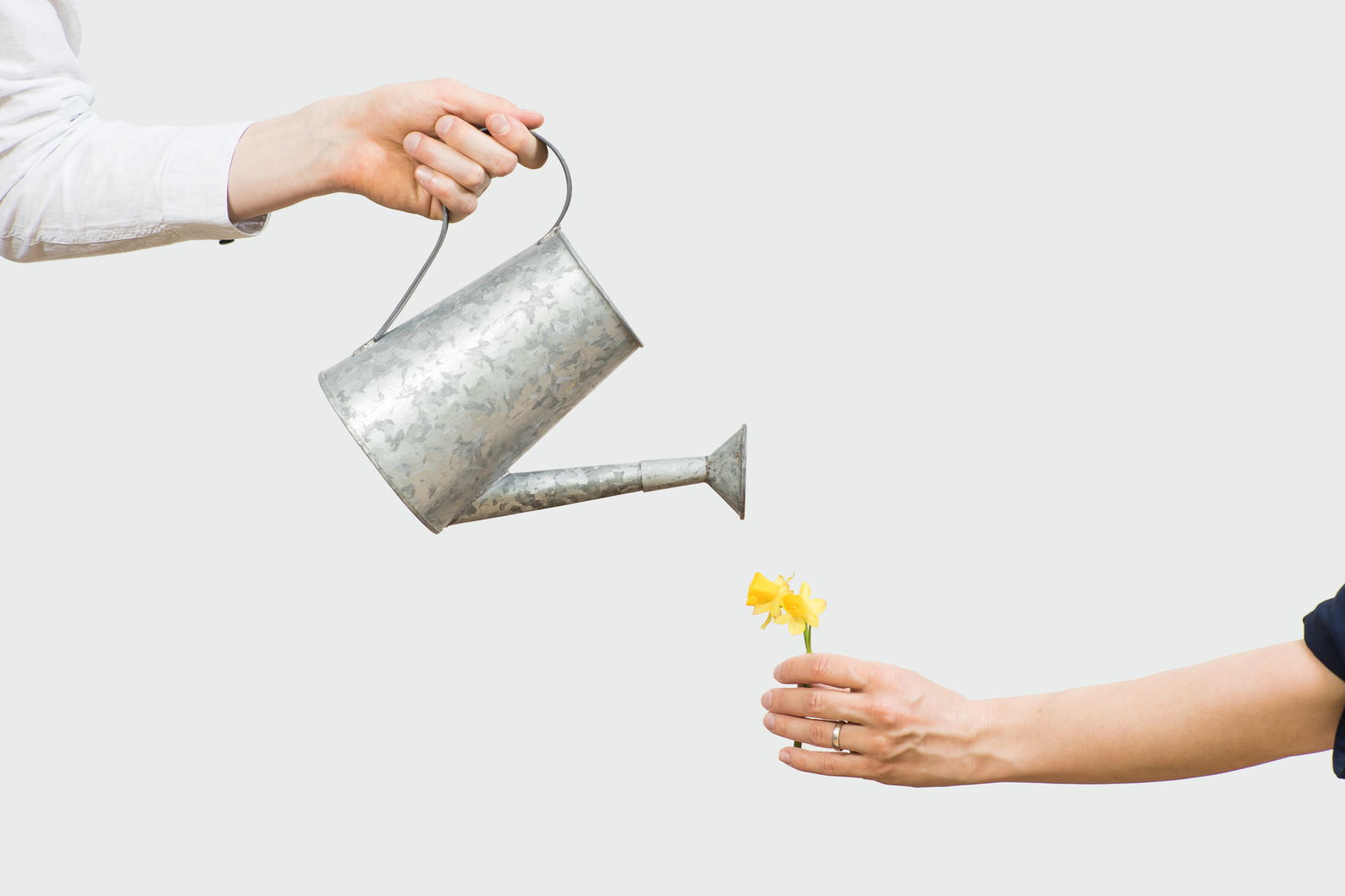 watering-can-metaphor-researcher-salary-germany.jpg Watering can as a metaphor for researchers' salary in Germany