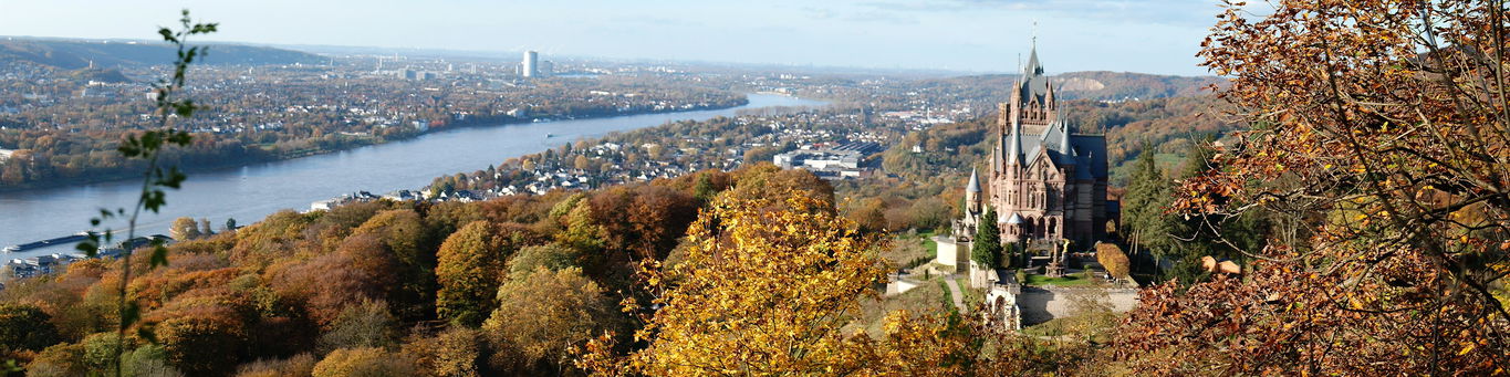 working-in-bonn.jpg Working in Bonn - Panoramic view Bonn